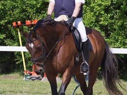 img-00151-525